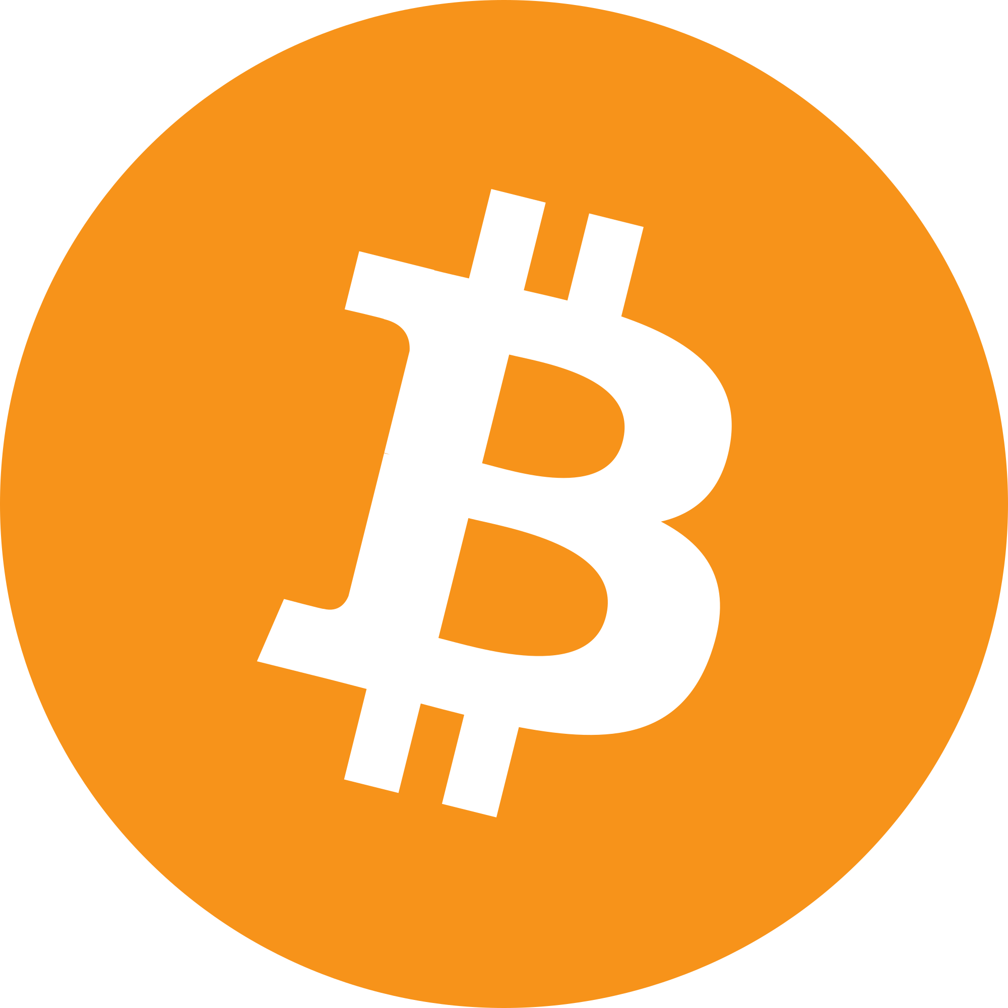 bitcoin-btc-logo pyment option