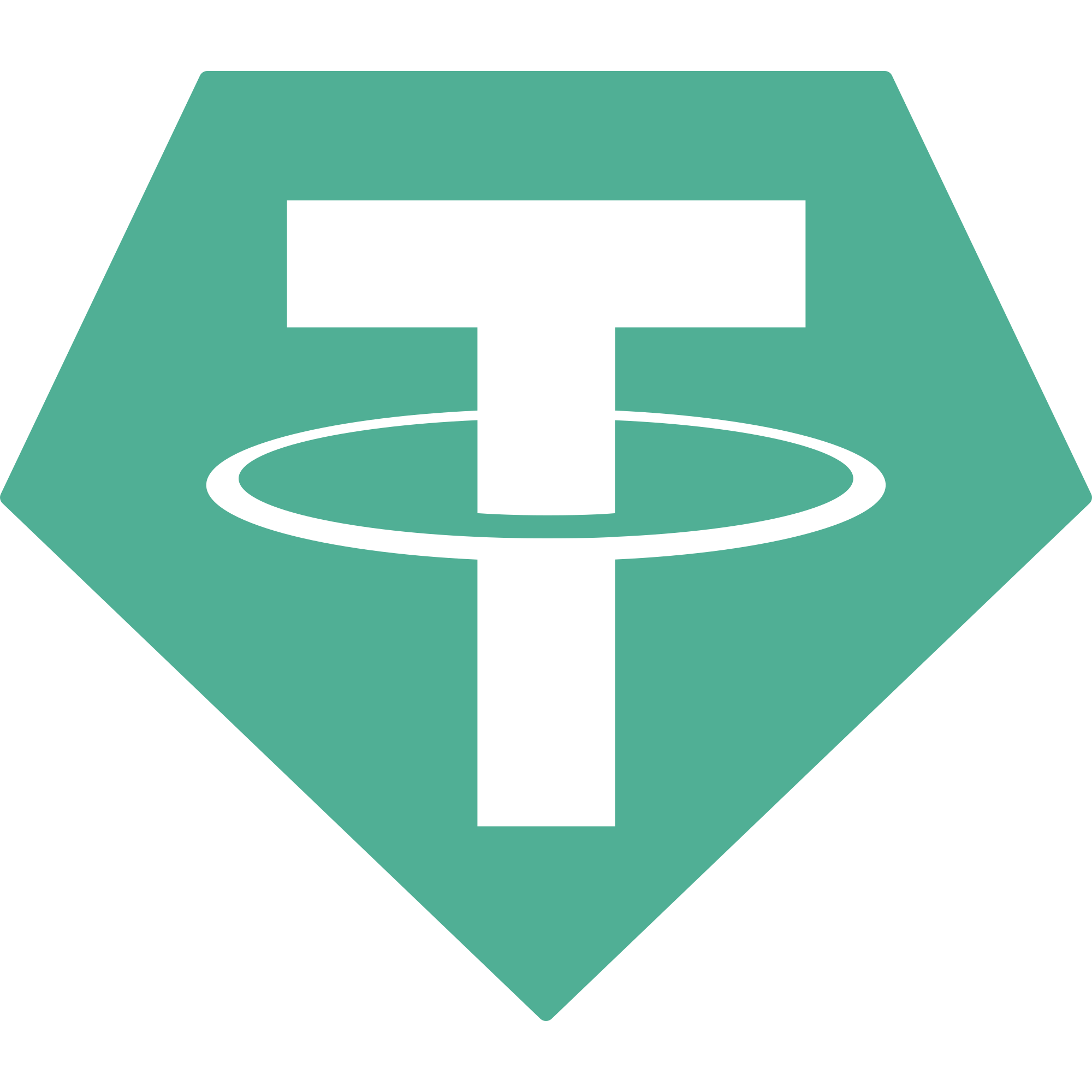 tether-usdt-logo pyment option